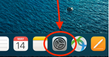 Screen shot of the Dock on a Mac desktop. The System Settings icon is circled in red and has a red arrow pointing to it.