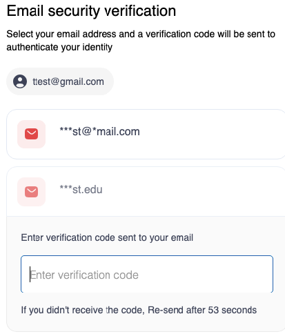 Screenshot of the email security verification page