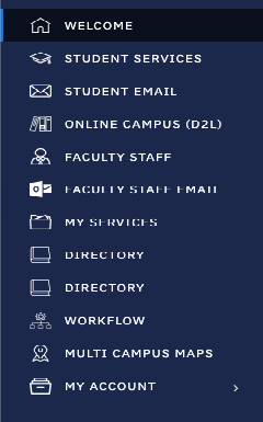 Screenshot of the location of the My Services link in the NLU portal